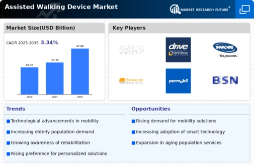 Assisted Walking Device Market Infographic