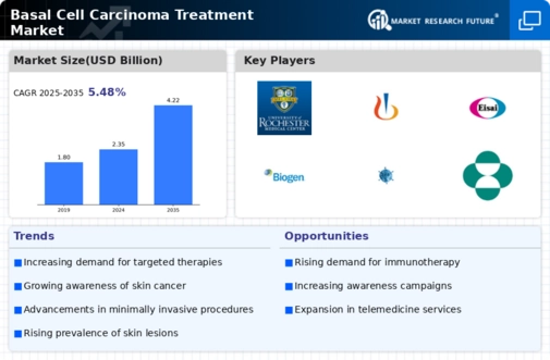 Basal Cell Carcinoma Treatment Market Infographic