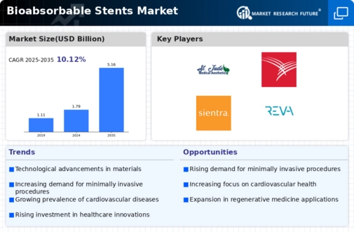 Bioabsorbable Stents Market Infographic