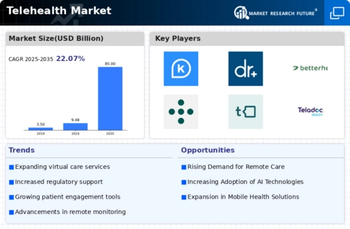 Telehealth Market Infographic