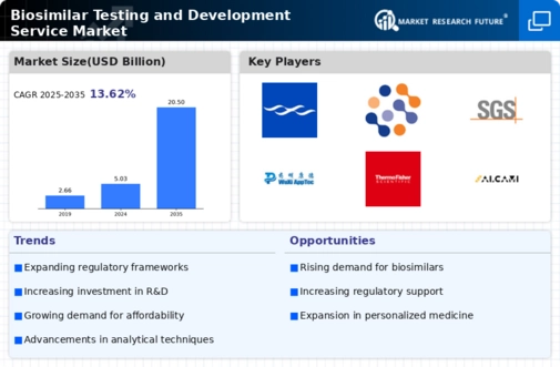Biosimilar Testing Development Services Market Infographic
