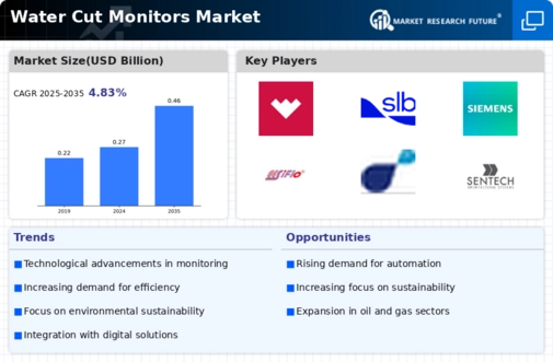 Water Cut Monitors Market Infographic