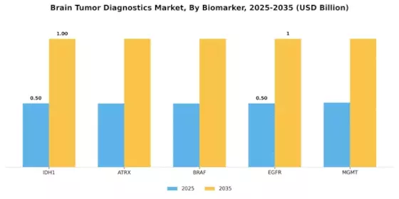 Brain Tumor Diagnostics Market Segment Image 1