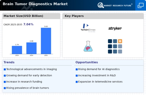 Brain Tumor Diagnostics Market Infographic