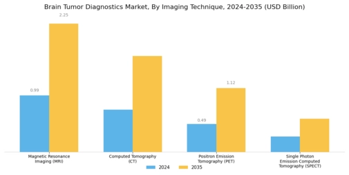Brain Tumor Diagnostics Market Segment Image 3