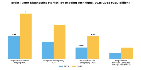 Brain Tumor Diagnostics Market Segment Image 2