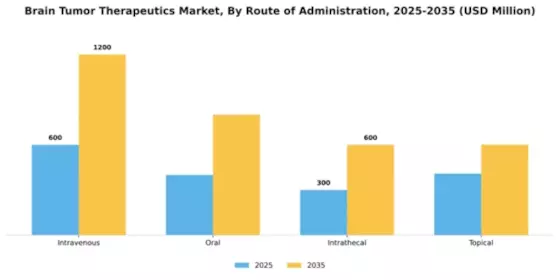 Brain Tumor Therapeutics Market Segment Image 2