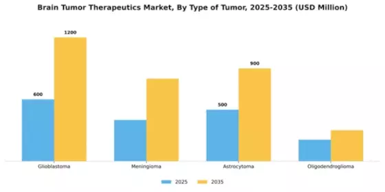 Brain Tumor Therapeutics Market Segment Image 4
