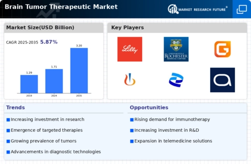 Brain Tumor Therapeutics Market Infographic