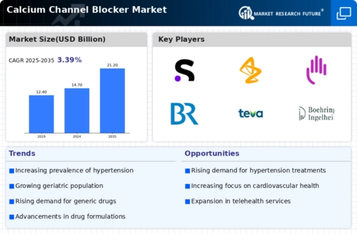 Calcium Channel Blocker Market Infographic