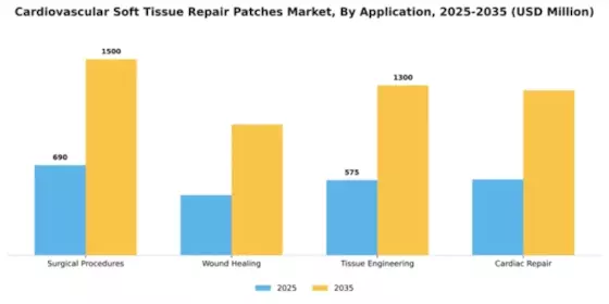 Cardiovascular Soft Tissue Repair Patches Market Segment Image 0