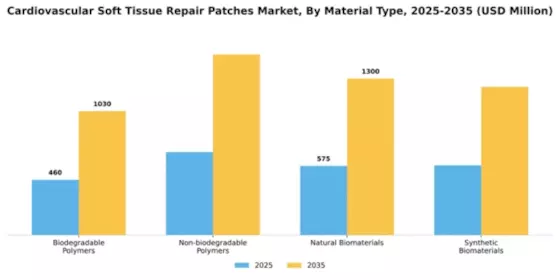 Cardiovascular Soft Tissue Repair Patches Market Segment Image 3