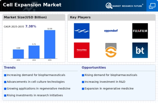Cell Expansion Market Infographic
