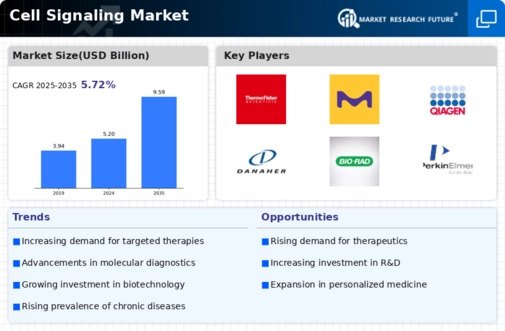 Cell Signaling Market Infographic