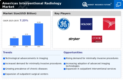 Americas Interventional Radiology Market Infographic