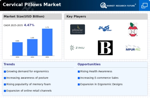Cervical Pillows Market Infographic