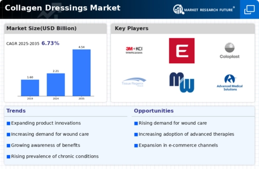 Collagen Dressings Market Infographic
