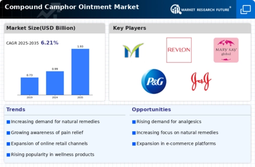 Compound Camphor Ointment Market Infographic