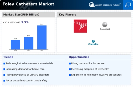 Foley catheter Market Infographic
