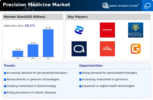 Precision Medicine Market Infographic