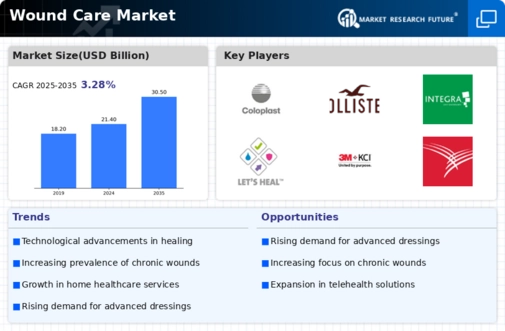 Wound Care Market Infographic