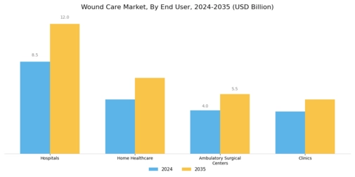 Wound Care Market Segment Image 2