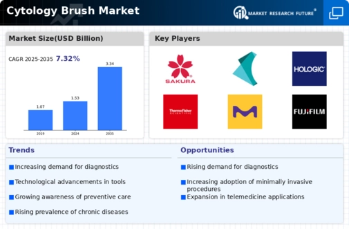 Cytology Brushes Market Infographic