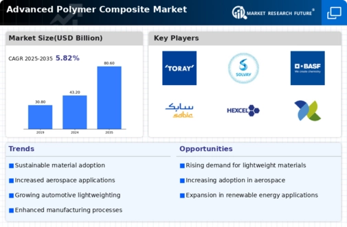 Advanced Polymer Composite Market Infographic