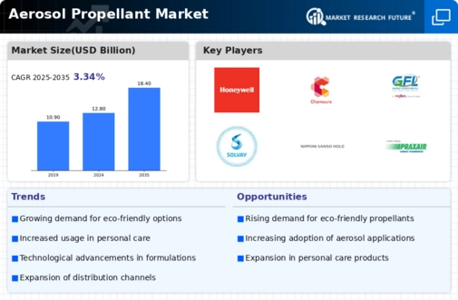 Aerosol Propellant Market Infographic