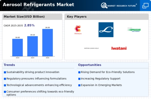 Aerosol Refrigerants Market Infographic