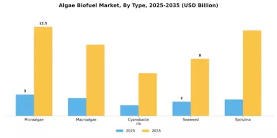 Algae Biofuel Market Segment Image 3