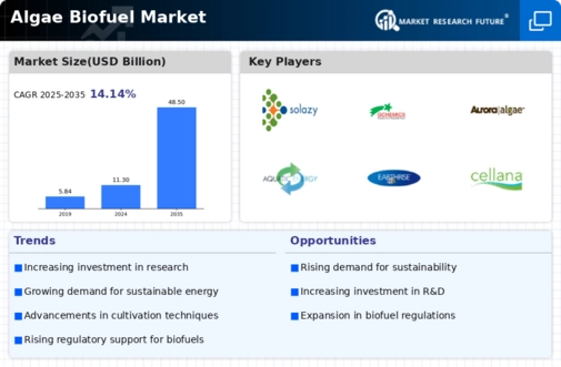 Algae Biofuel Market Infographic