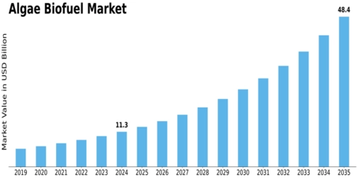 Algae Biofuel Market Size