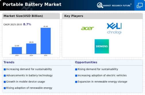 Portable Battery Market Infographic