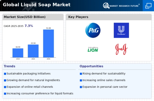 Liquid Soap Market Infographic