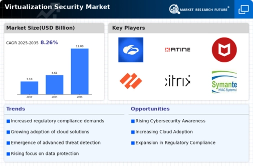 Virtualization Security Market Infographic