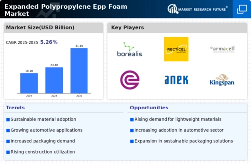 Expanded Polypropylene Foam Market Infographic