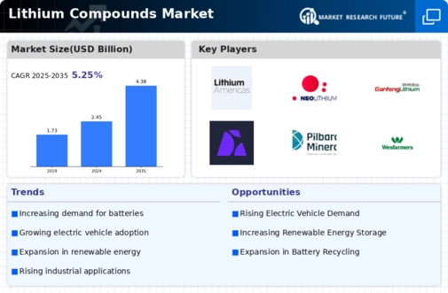 Lithium Compounds Market Infographic