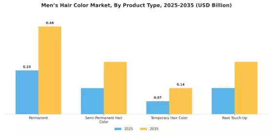 Men Hair Color Market Segment Image 0