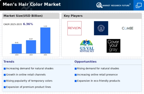 Men Hair Color Market Infographic