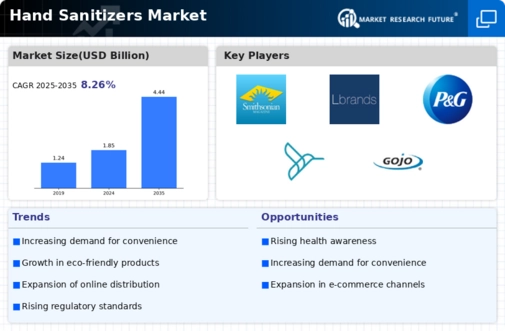 Hand Sanitizer Market Infographic