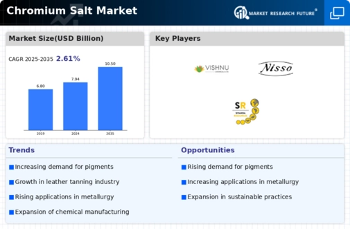 Chromium Salts Market Infographic