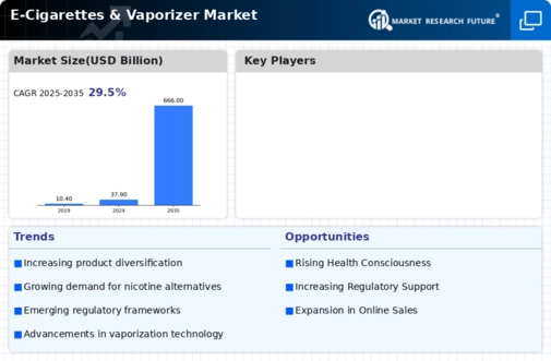 Global E-Cigarette Vaporizer Market Infographic