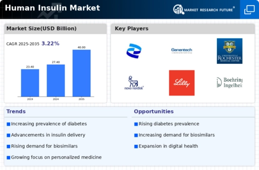 Human Insulin Market Infographic