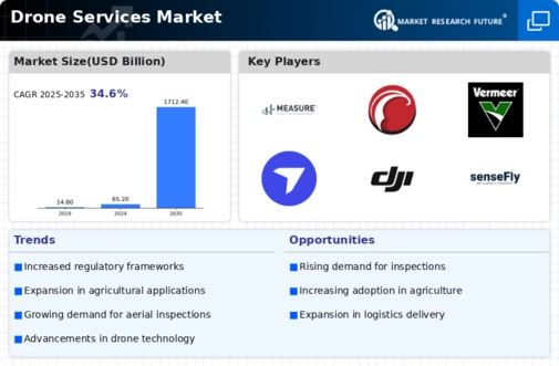 Drone Services Market Infographic