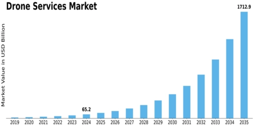 Drone Services Market Size