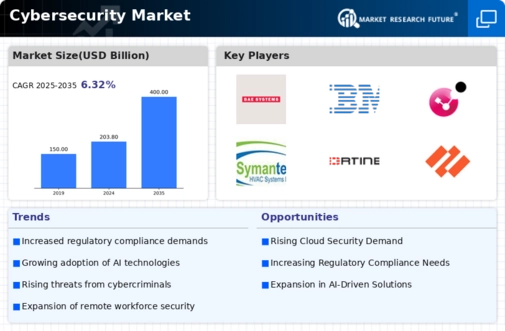 Cyber Security Market Infographic