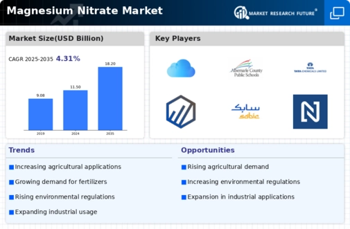 Magnesium Nitrate Market Infographic