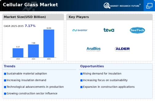 Cellular Glass Market Infographic
