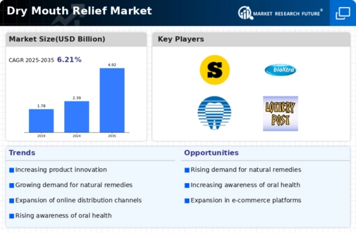 Dry Mouth Relief Market Infographic